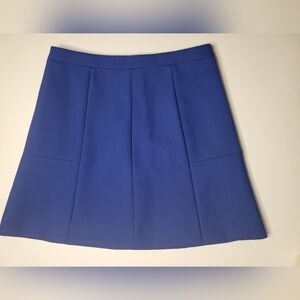 Elegant Blue Women's Skirt